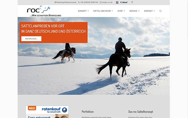 Abb. roc Homepage